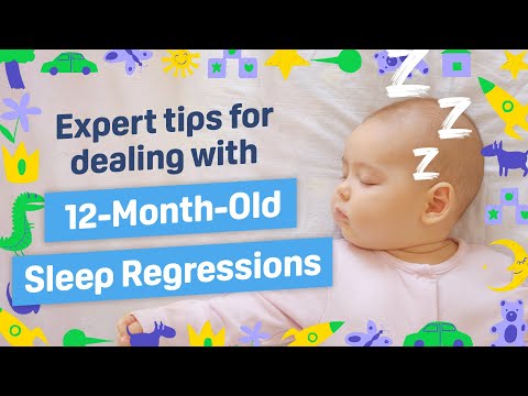 How to Help Your Child Survive a 12-Month Sleep Regression (ft. Sleep Specialist Chris Winter, MD)