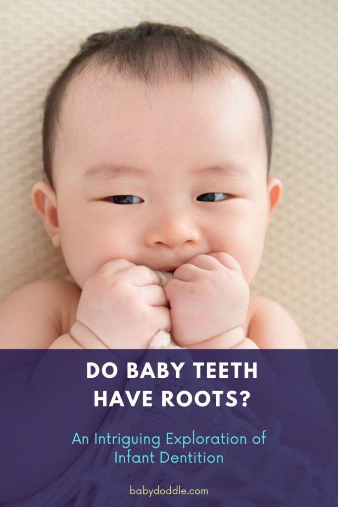 Do Baby Teeth Have Roots