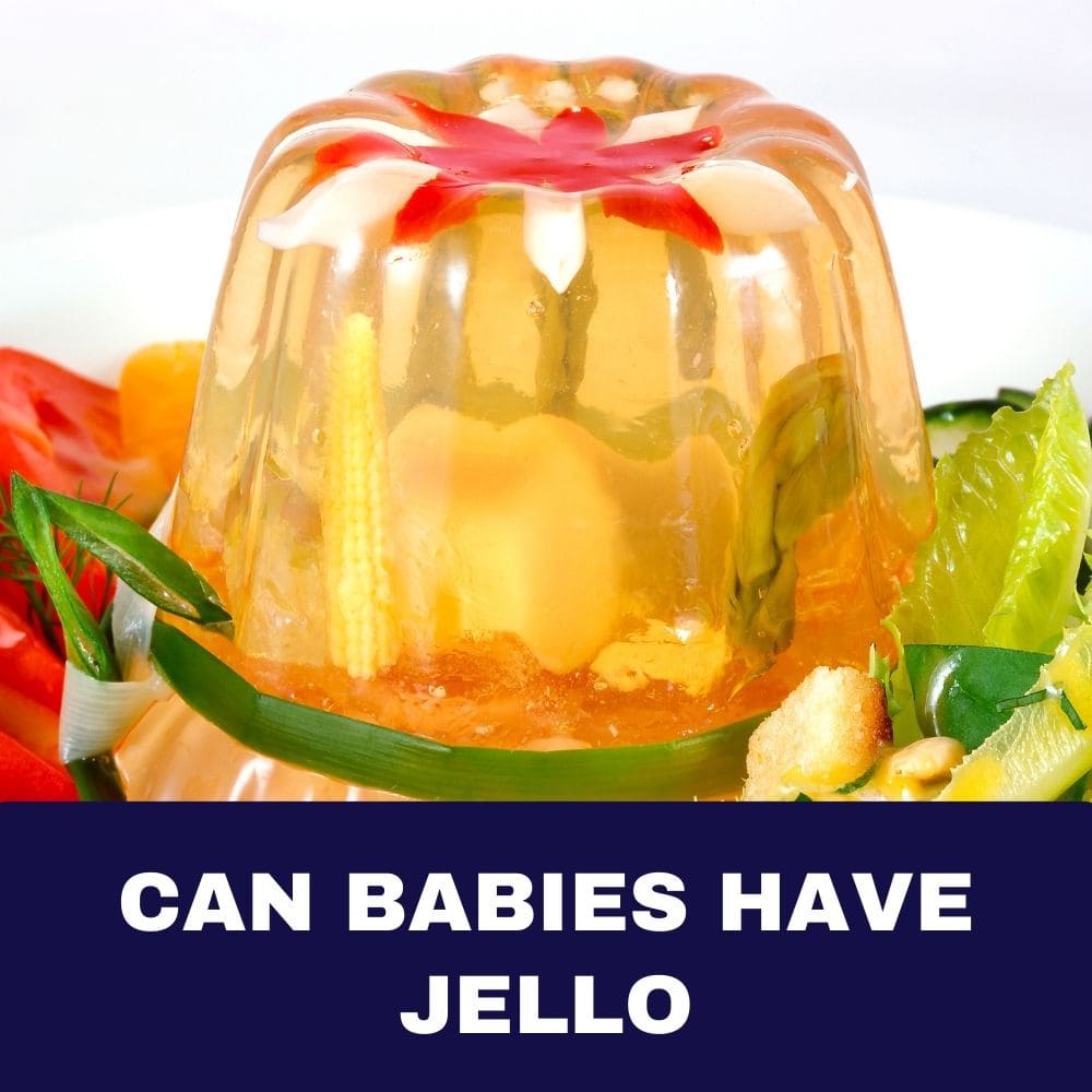 can babies have jello