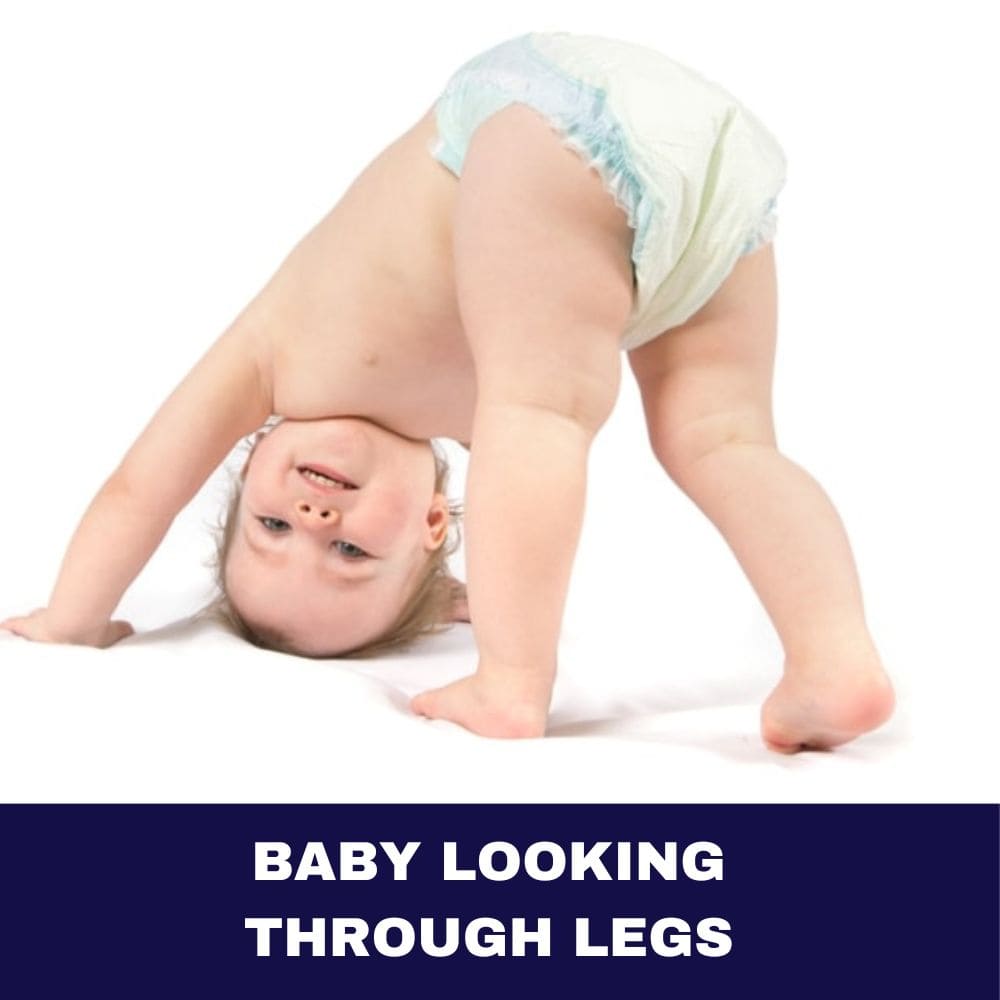 Baby Looking Through Legs 2