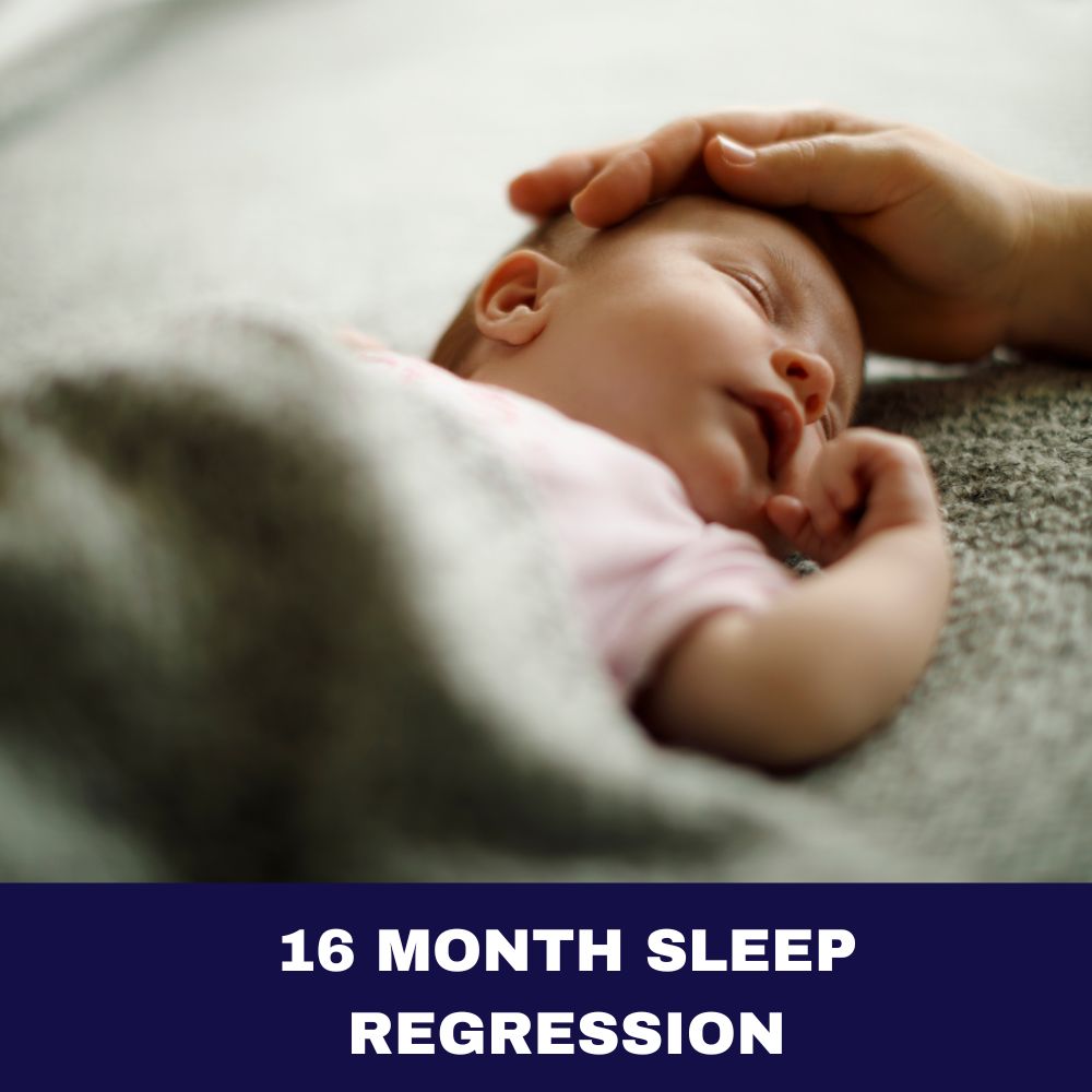 16 Month Sleep Regression 2