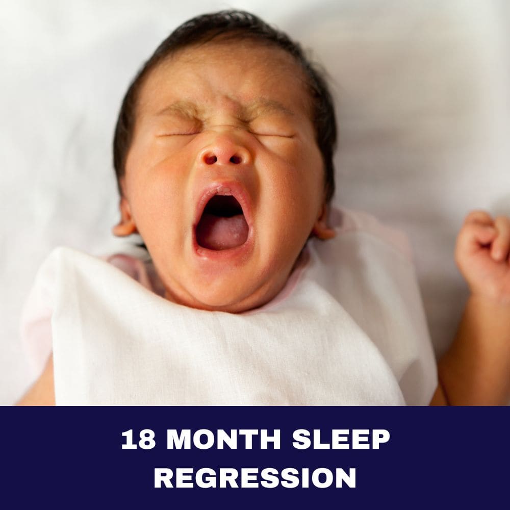 18 Month Sleep Regression 2