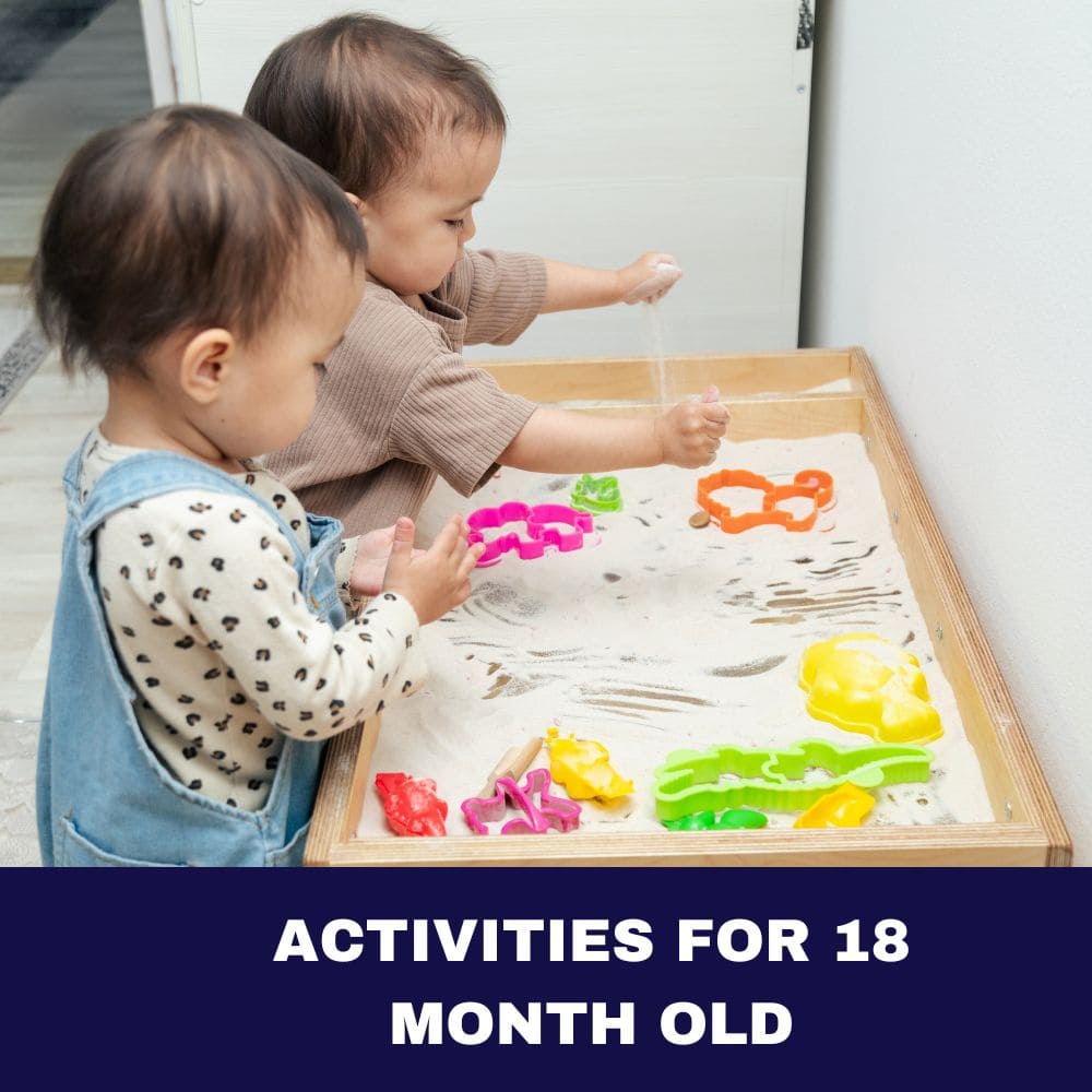 Activities for 18 Month Old 2