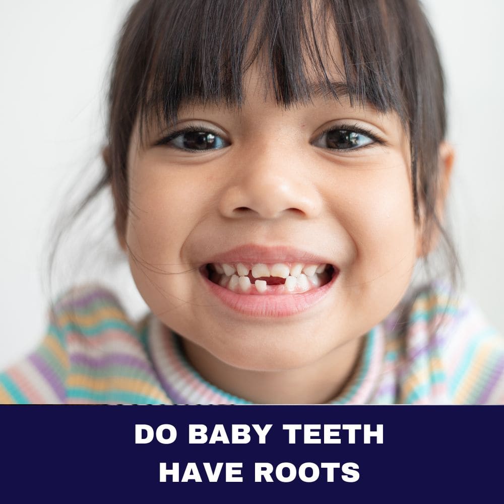 Do Baby Teeth Have Roots? An Intriguing Exploration of Infant Dentition