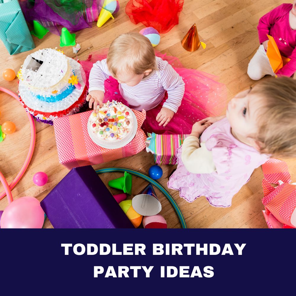 Toddler Birthday Party Ideas 2