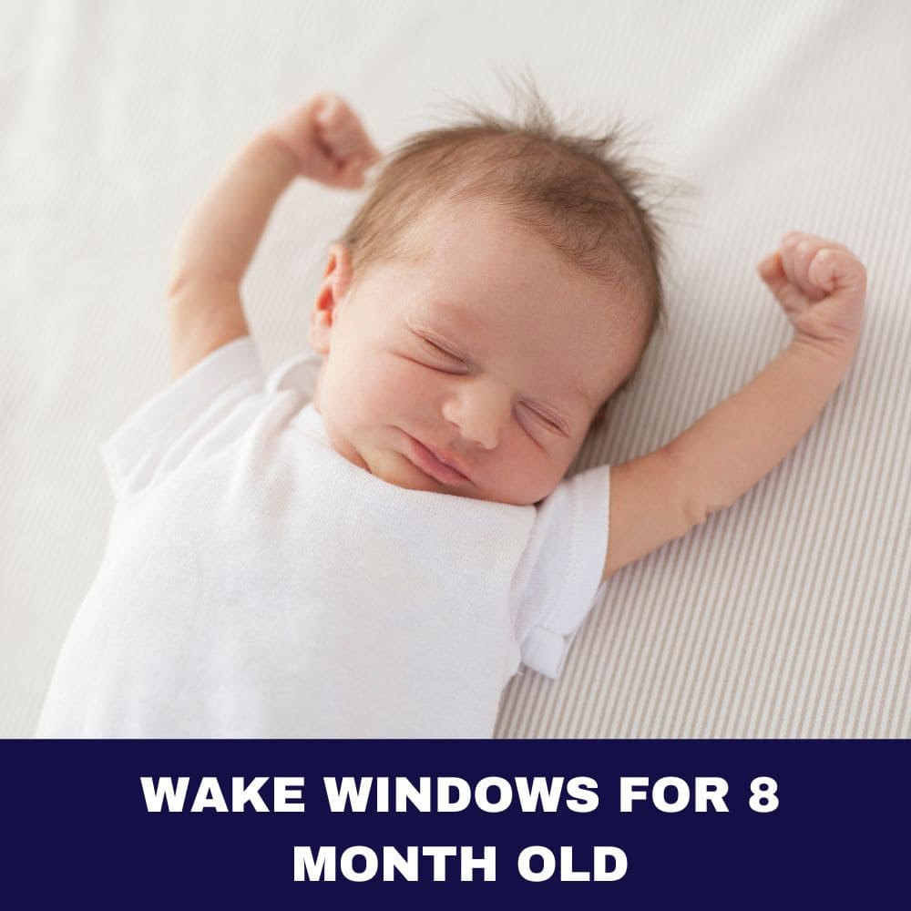 Wake Windows for 8 Month Old