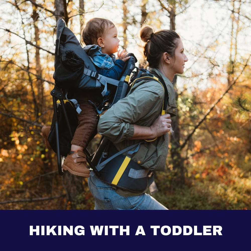 Hiking with a Toddler 2