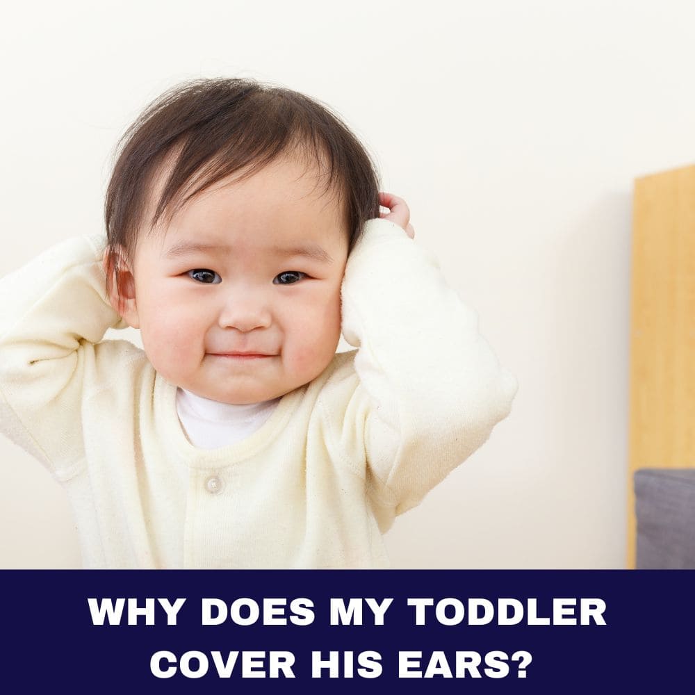 Why Does My Toddler Cover His Ears 2