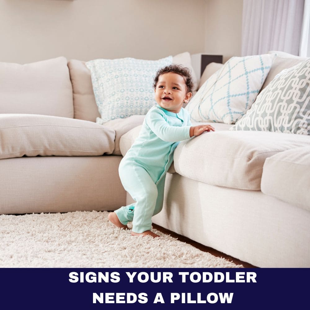 Signs Your Toddler Needs a Pillow 2