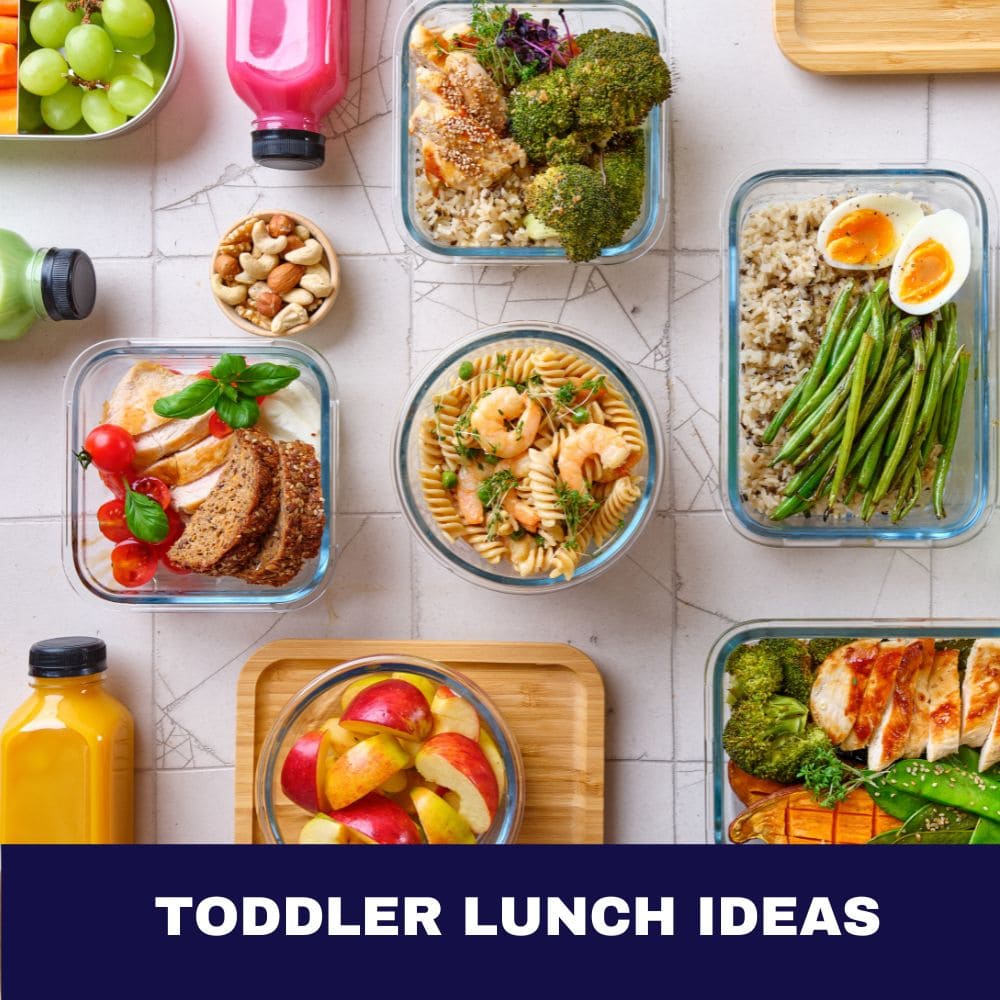 Toddler Lunch Ideas: 37 Delightful Morsels to Tantalize Tiny Taste Buds